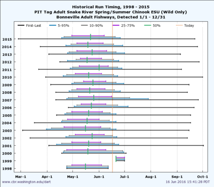 Salmon Run Chart