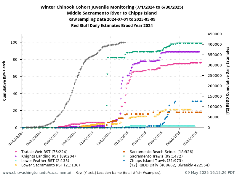 juvenile sampling winter chinook graph