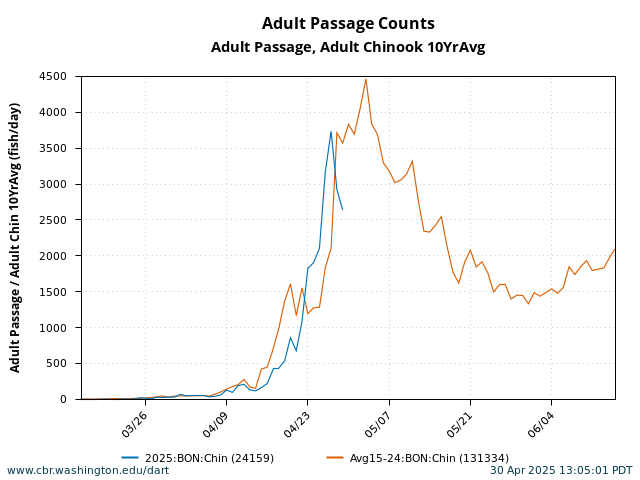 graph Daily Passage Bonneville Adult Spring Chinook March 15 - June 15 current year with 10 Year Average