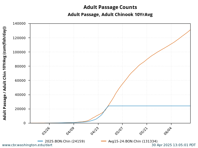 graph Cumulative Daily Passage Bonneville Adult Spring Chinook March 15 - June 15 current year with 10 Year Average