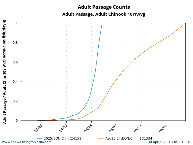 graph Normalized Cumulative Passage Bonneville Adult Spring Chinook March 15 - June 15 current year with 10 Year Average