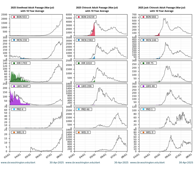 Adult Passage Counts Quick Look Steelhead Chinook Jack Chinook combined graph