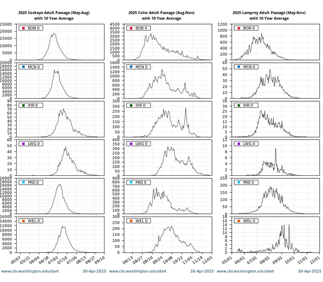 Adult Passage Counts Quick Look Sockeye Coho Lamprey combined graph