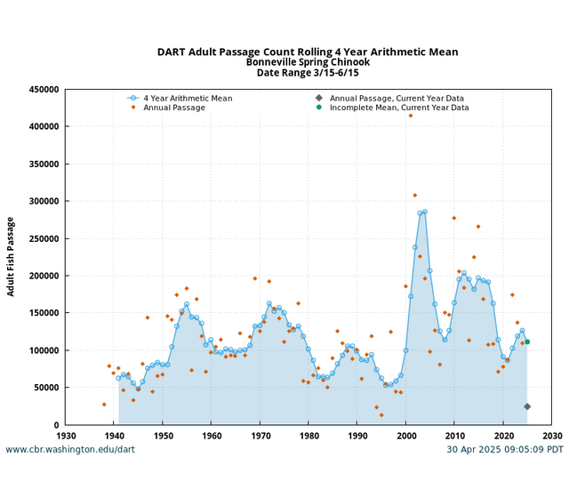 Bonneville Adult Spring Chinook Running 4 Year Historical graph