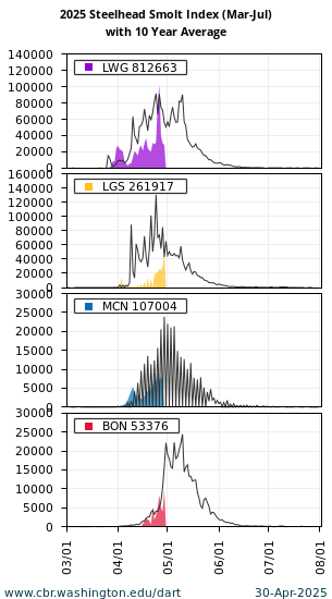 Smolt Index Steelhead Lower Granite, Little Goose, McNary, and Bonneville