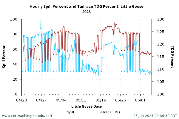 example Hourly Spill Percent and Tailrace TDG Percent at upper project graph