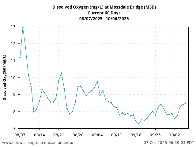 Plot of 60 Days current conditions Dissolved Oxygen (mg/L) at Mossdale Bridge (MSD)