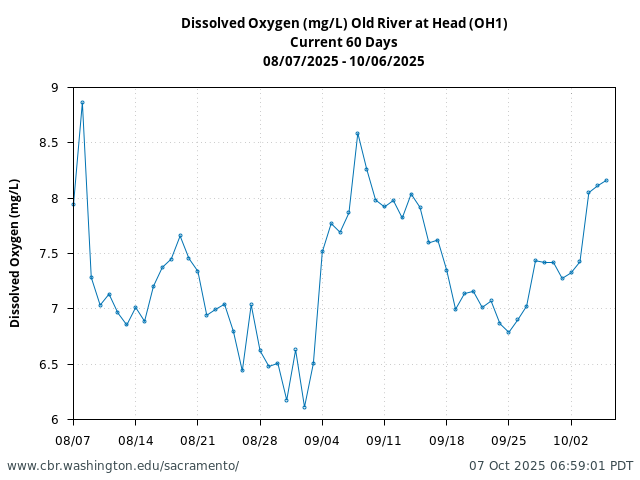 Plot of 60 Days current conditions Dissolved Oxygen (mg/L) Old River at Head (OH1)