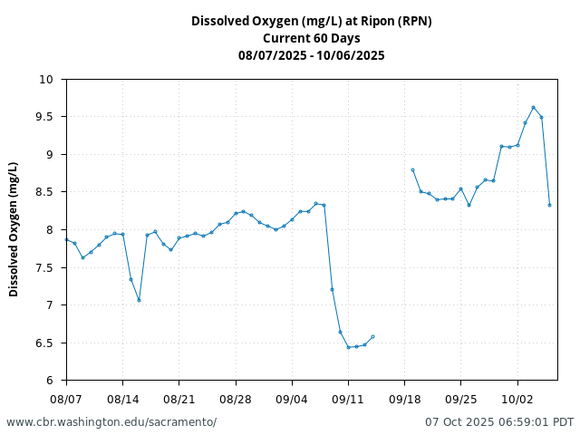 Plot of 60 Days current conditions Dissolved Oxygen (mg/L) at Ripon (RPN)