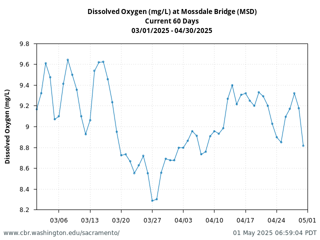 Plot of 60 Days current conditions Dissolved Oxygen (mg/L) at Mossdale Bridge (MSD)