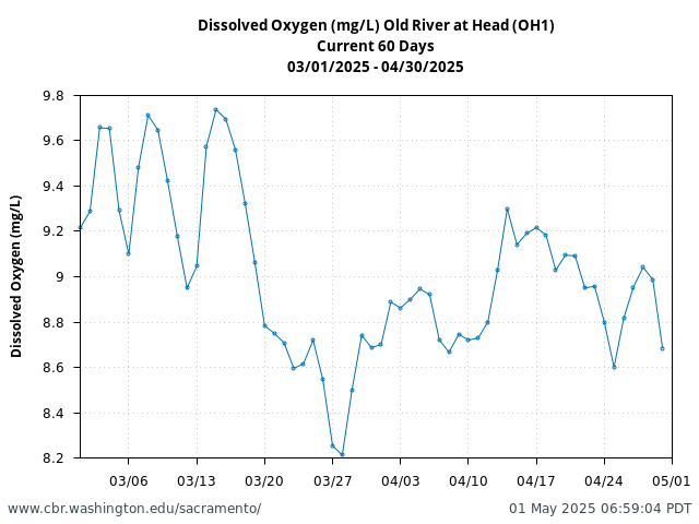 Plot of 60 Days current conditions Dissolved Oxygen (mg/L) Old River at Head (OH1)