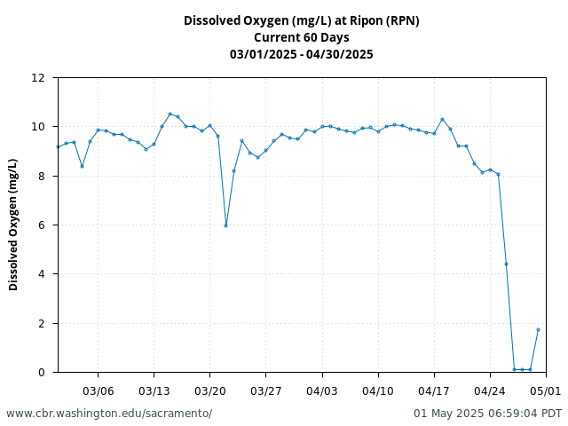 Plot of 60 Days current conditions Dissolved Oxygen (mg/L) at Ripon (RPN)