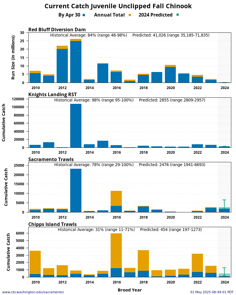 graph Current Catch Juvenile Unclipped Fall Chinook 15 Years Historical and Current Year at four Sacramento River locations: Red Bluff Diversion Dam, Knights Landing, Sacramento Trawls, and Chipps Island Trawls