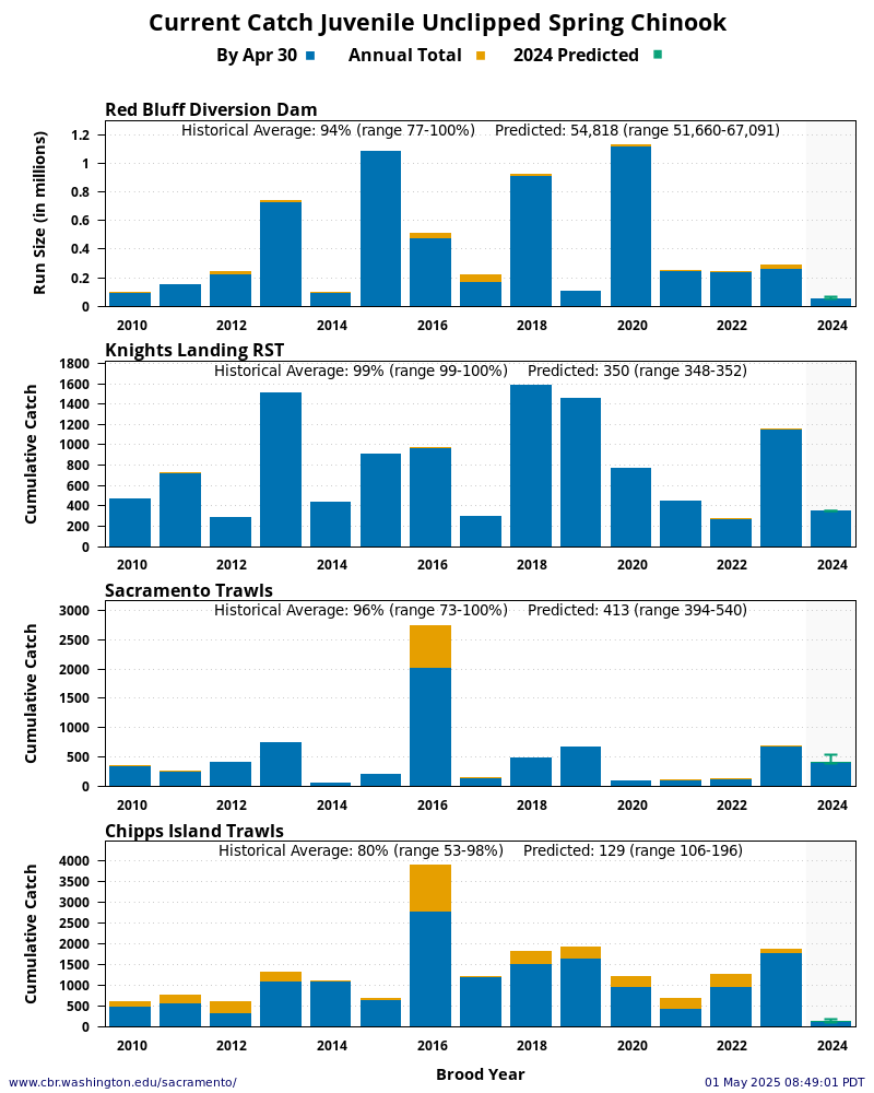graph Current Catch Juvenile Unclipped Spring Chinook 15 Years Historical and Current Year at four Sacramento River locations: Red Bluff Diversion Dam, Knights Landing, Sacramento Trawls, and Chipps Island Trawls