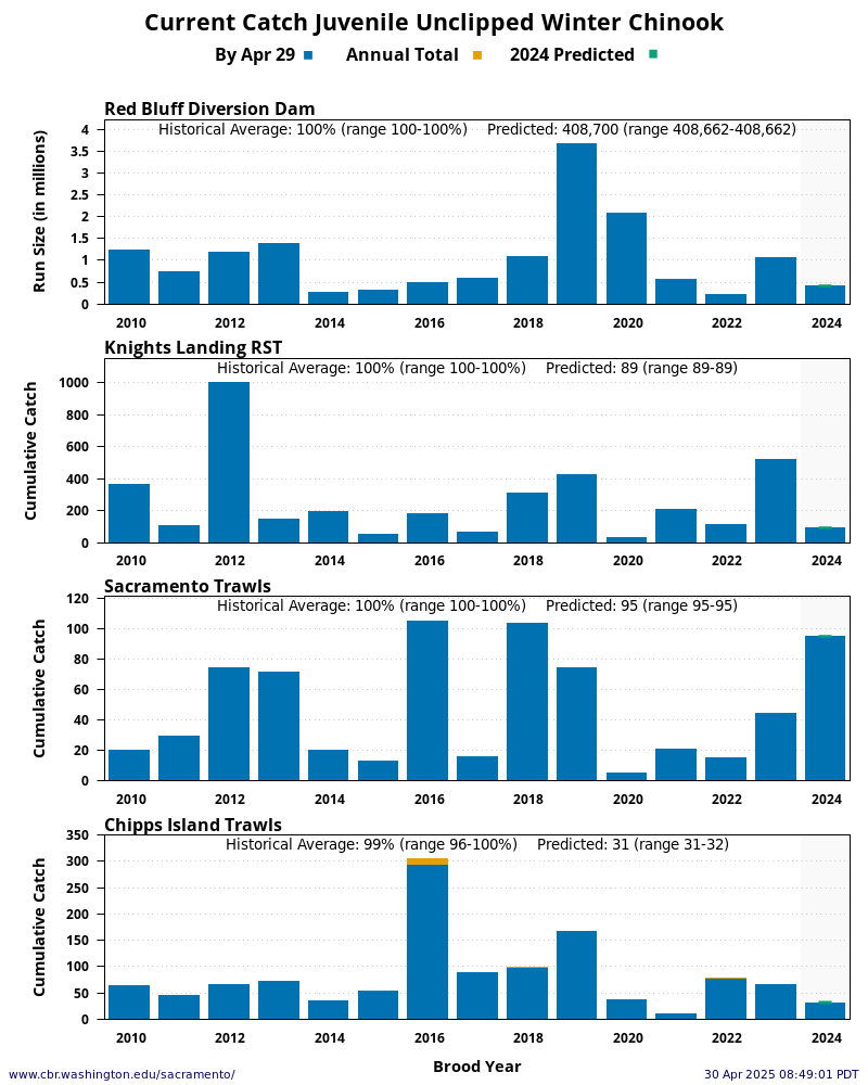 Current Catch at four key monitoring locations: Red Bluff Diversion Dam, Knights Landing, Sacramento Trawls, and Chipps Island Trawls. Predicted total of Current Catch based on 15 year average timing and percent.