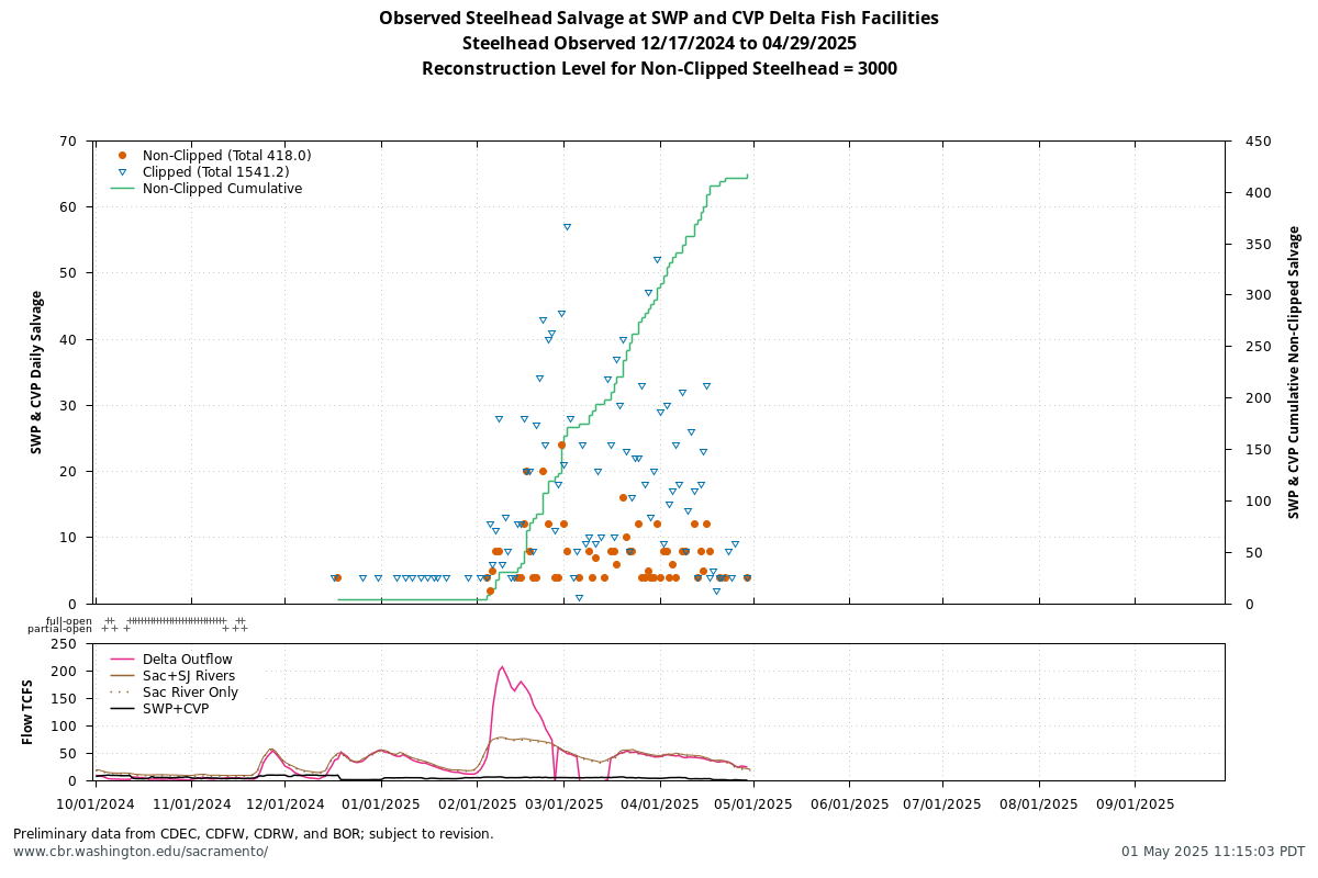 plot Observed Steelhead Salvage at SWP and CVP Delta Fish Facilities, Steelhead Observed 12/17/2024 to 04/29/2025, Reconstruction Level for Non-Clipped Steelhead = 3000