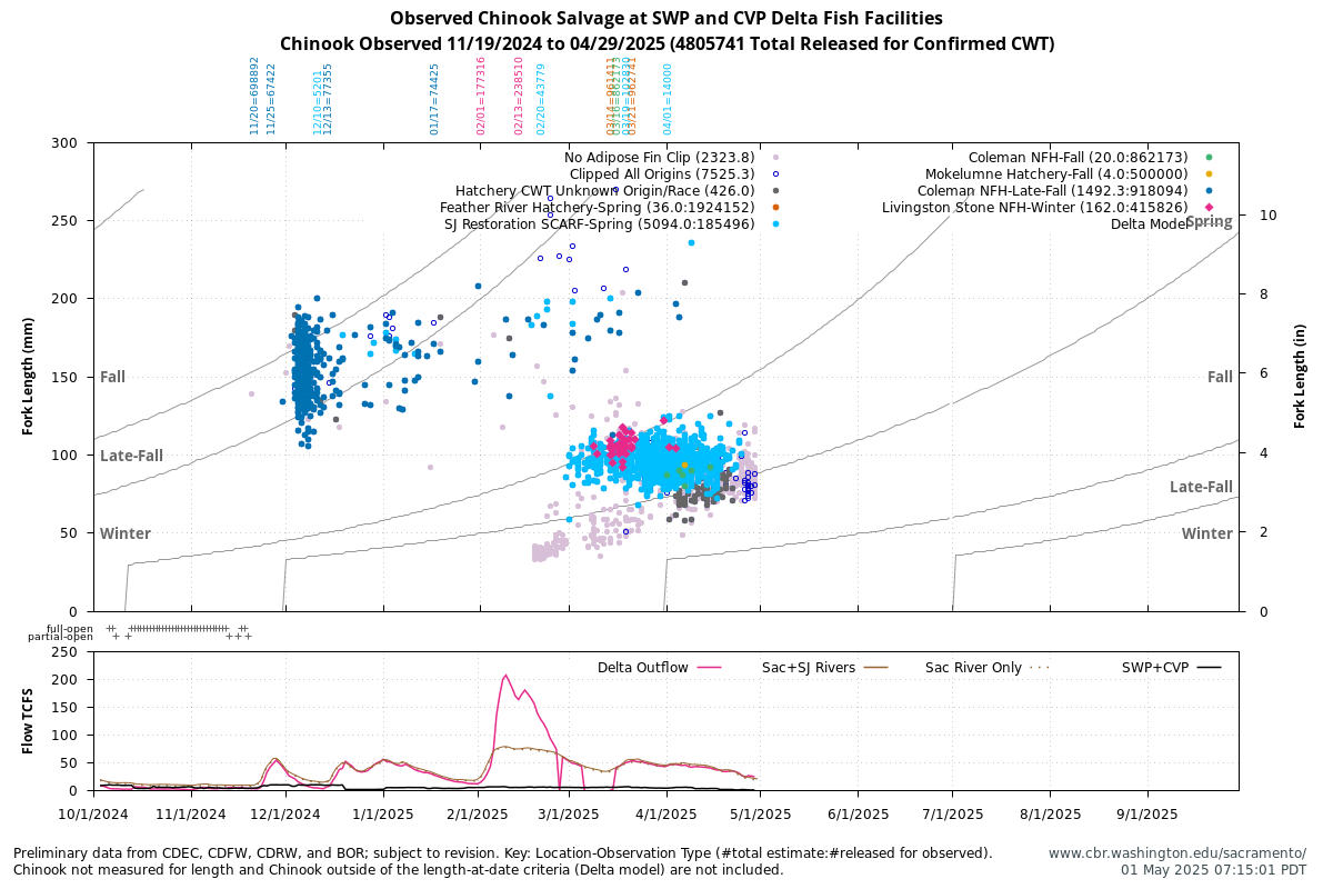 Observed Chinook Salvage at SWP and CVP Delta Fish Facilities, Chinook Observed 11/19/2024 to 04/29/2025 (4805741 Total Released for Confirmed CWT) with Delta and River Flow