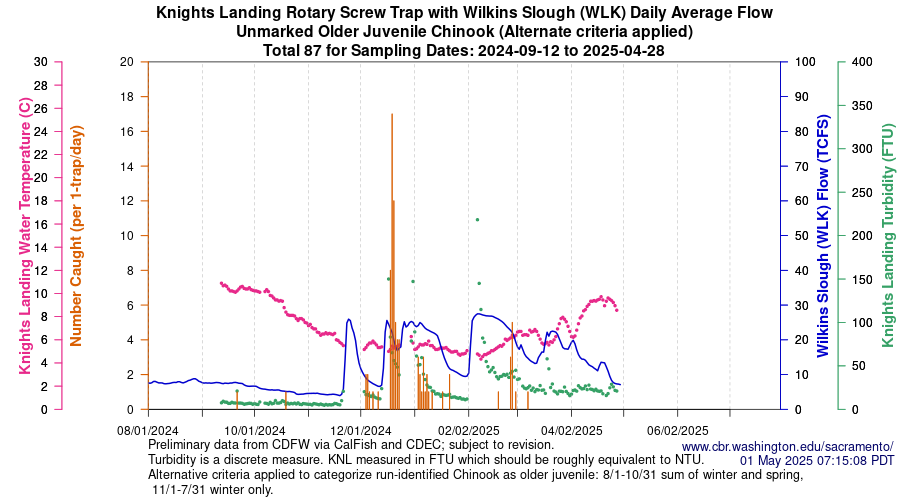 plot Central Valley Juvenile Salmonid Monitoring Knights Landing Rotary Screw Trap with Wilkins Slough (WLK) Daily Average Flow Unmarked Older Juvenile Chinook Sampling Dates 2024-09-12 to 2025-04-28