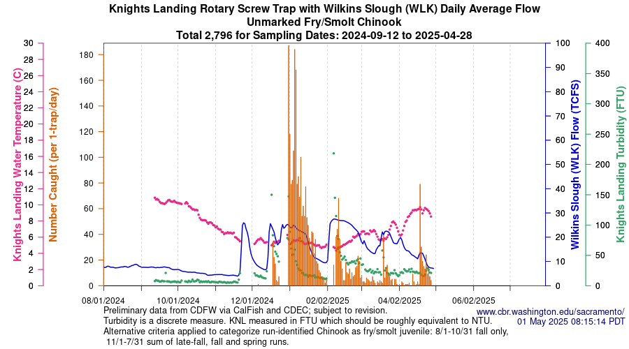 plot Central Valley Juvenile Salmonid Monitoring Knights Landing Rotary Screw Trap with Wilkins Slough (WLK) Daily Average Flow Unmarked Fry/Smolt Chinook Sampling Dates 2024-09-12 to 2025-04-28
