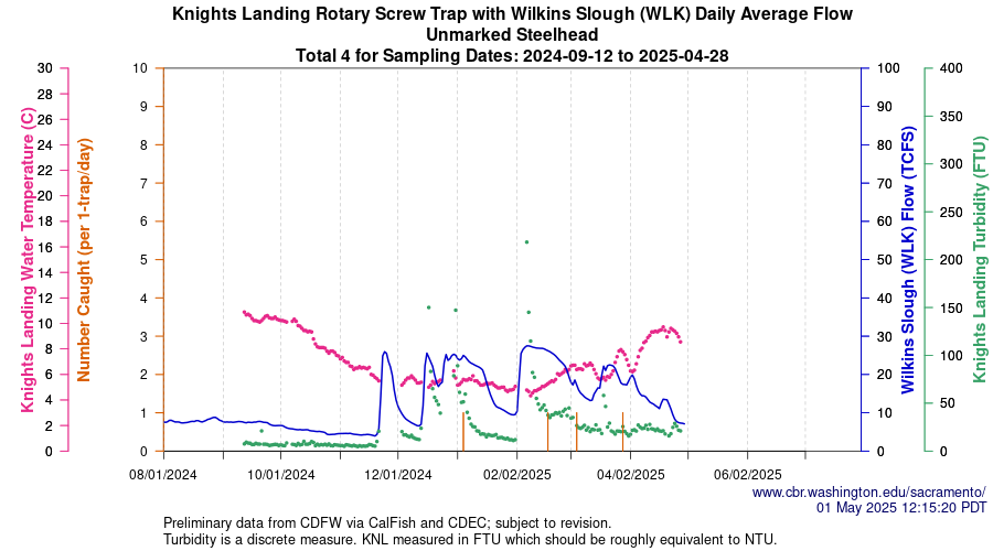 plot Central Valley Juvenile Salmonid Monitoring Knights Landing Rotary Screw Trap with Wilkins Slough (WLK) Daily Average Flow Unmarked Steelhead Sampling Dates 2024-09-12 to 2025-04-28