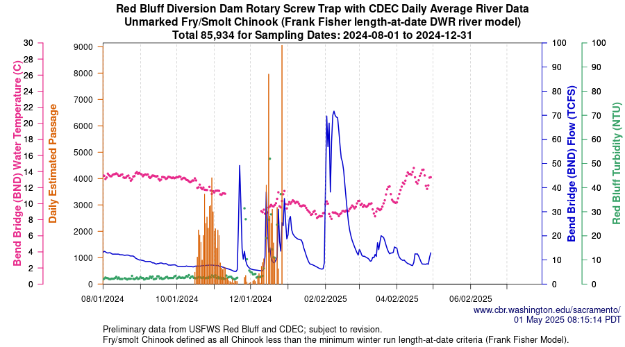 plot Central Valley Juvenile Salmonid Monitoring Red Bluff Diversion Dam Rotary Screw Trap with CDEC Daily Average River Data Unmarked Fry/Smolt Chinook Sampling Dates 2024-08-01 to 2024-12-31