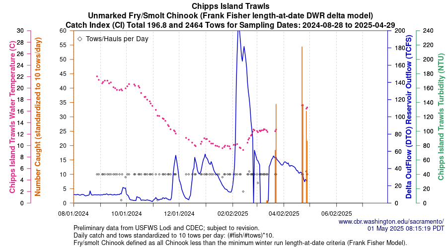 Graph Central Valley Juvenile Salmonid Monitoring Chipps Island Trawls Unmarked Fry/Smolt Chinook Sampling Dates 2023-08-07 to 2024-04-15