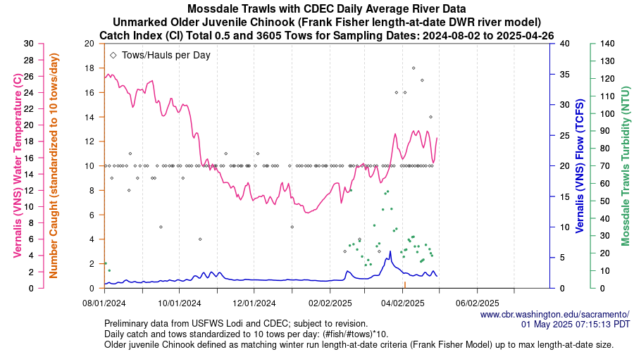 plot Central Valley Juvenile Salmonid Monitoring Mossdale Trawls with CDEC Daily Average River Data Unmarked Older Juvenile Chinook Sampling Dates 2024-08-02 to 2025-04-26