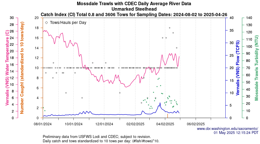 plot Central Valley Juvenile Salmonid Monitoring Mossdale Trawls with CDEC Daily Average River Data Unmarked Steelhead Sampling Dates 2024-08-02 to 2025-04-26