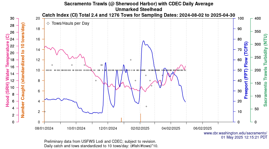 plot Central Valley Juvenile Salmonid Monitoring Sacramento Trawls (@ Sherwood Harbor) with CDEC Daily Average Unmarked Steelhead Sampling Dates 2024-08-02 to 2025-04-30