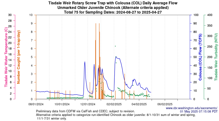 plot Central Valley Juvenile Salmonid Monitoring Tisdale Weir Rotary Screw Trap with Colousa (COL) Daily Average Flow Unmarked Older Juvenile Chinook Sampling Dates 2024-08-27 to 2025-04-27