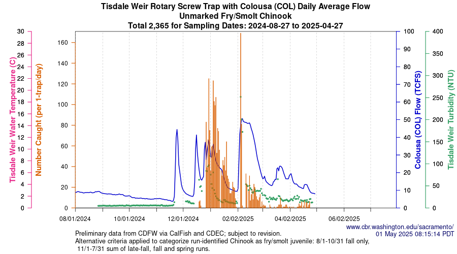 plot Central Valley Juvenile Salmonid Monitoring Tisdale Weir Rotary Screw Trap with Colousa (COL) Daily Average Flow Unmarked Fry/Smolt Chinook Sampling Dates 2024-08-27 to 2025-04-27