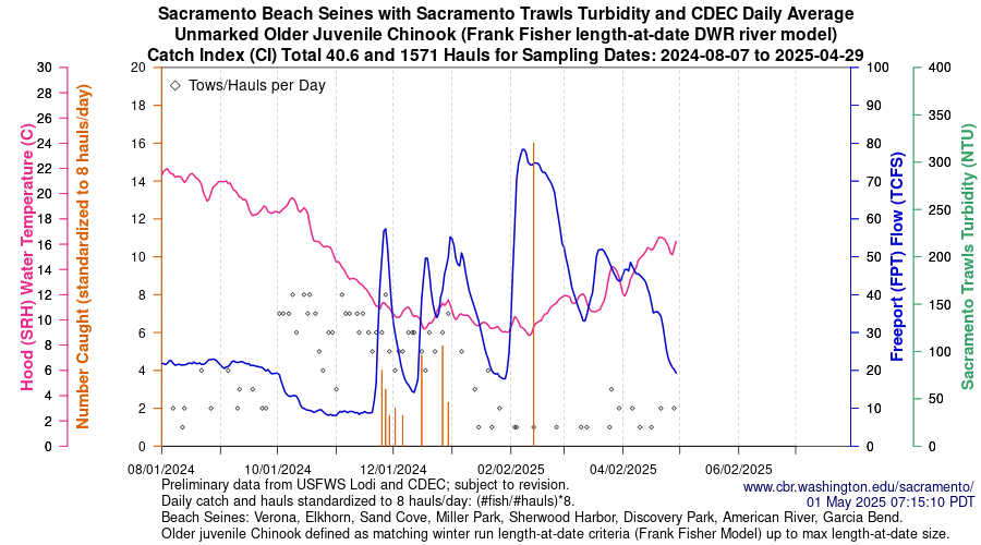 plot Central Valley Juvenile Salmonid Monitoring Verona, Elkhorn, Sand Cove, Miller Park, Sherwood Harbor, Discovery Park, American River, and Garcia Bend Beach Seines Unmarked Older Juvenile Chinook Sampling Dates 2024-08-07 to 2025-04-29