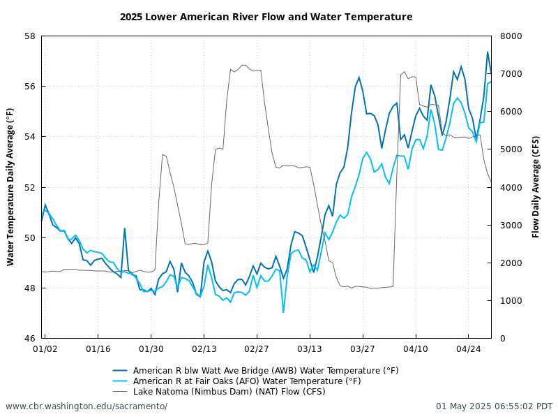 Line chart for 2025 Lower American River daily average flow at Lake Natoma Nimbus Dam (NAT) and water temperatures, below Watt Ave Bridge (AWB), and at Fair Oaks (AFO). Water temperatures (in degrees Fahrenheit) and flow in cubic feet per second (CFS). Data retrieved from CDEC; figure generated by SacPAS.