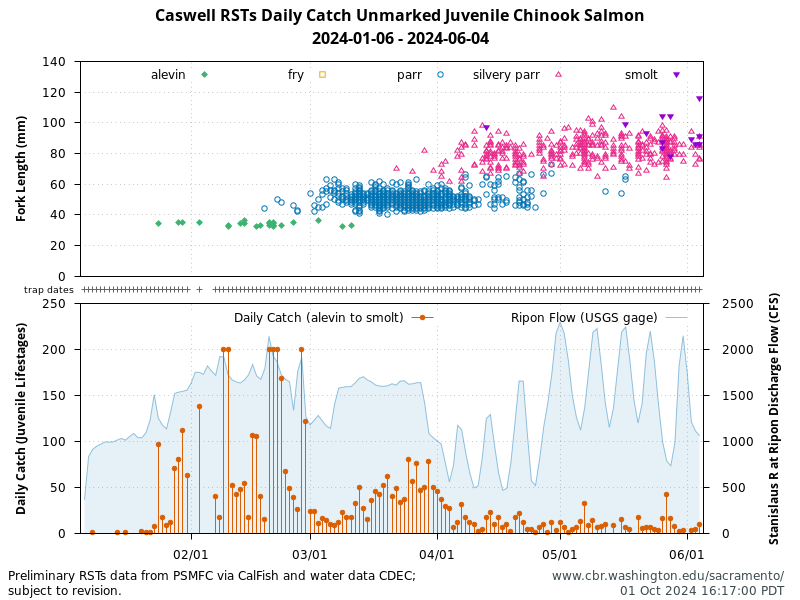 chart Caswell Memorial State Park Rotary Screw Traps Daily Catch juvenile lifestages Chinook