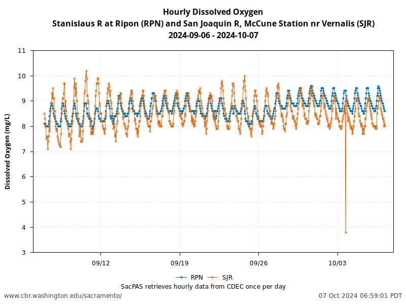 graph Dissolved Oxygen at RPN and SJR