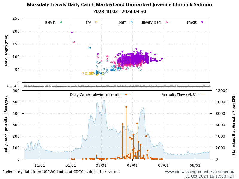 chart Mossdale Trawls Daily Catch juvenile lifestages Chinook